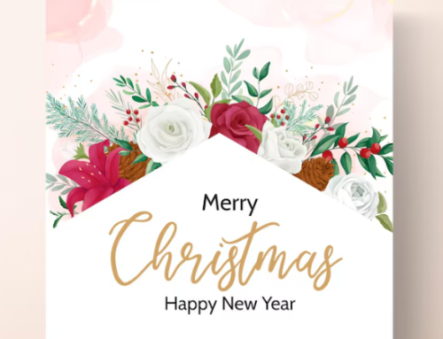 Gifting Ideas for Christmas and 2025 New Year